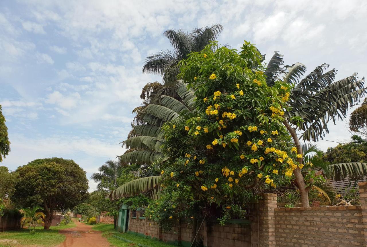 Anna'S Place Entebbe Bed & Breakfast Exterior foto